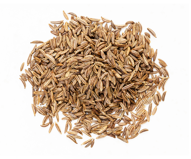 Whole-Cumin