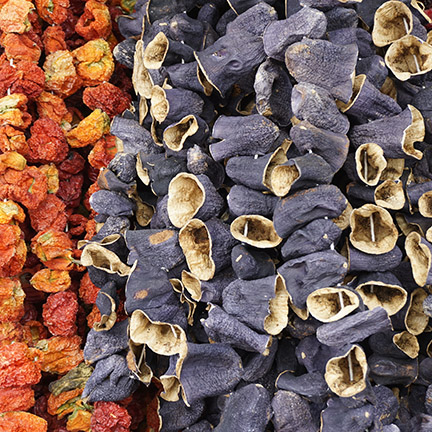 Hanged delicious colorful and sun dried marinated Turkish tomato